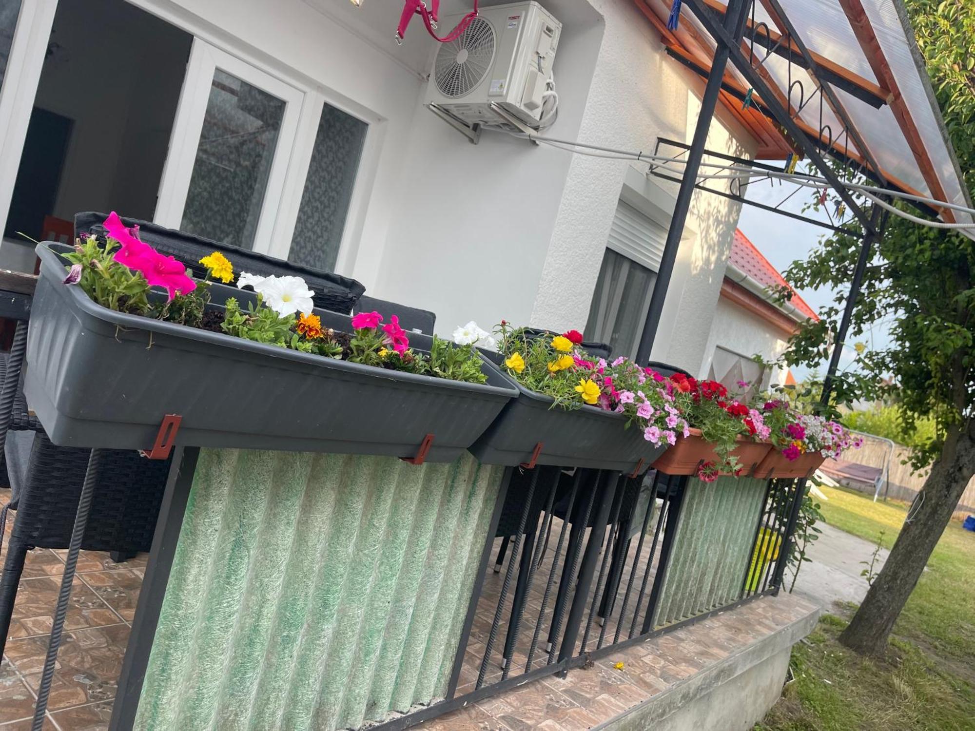 Valentina Apartman Balatonmáriafürdő Exteriér fotografie
